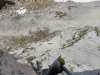 IMG-20250603-WA0008