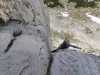 IMG-20250603-WA0010