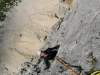 IMG-03a0d98a4cf41f0c5f9f55902d5c6ad6-V