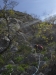 20150416_120324