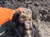 DCIM101GOPROGOPR1672.JPG