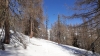 20190217_125529