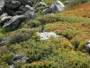 Mont-Blanc-21
