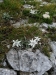 IMG_20200719_133003