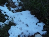 dsc05159