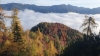 20191017_0836521