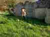IMG-e4acffa7c730c09725974c19390f5254-V