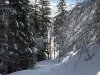 image00003