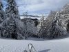 image00006