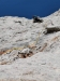 7-mogoce-je-2-cug-najlepsi
