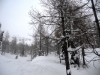 dscn2065