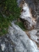 img-5fd41069ab988a9c9eac40766c824788-v